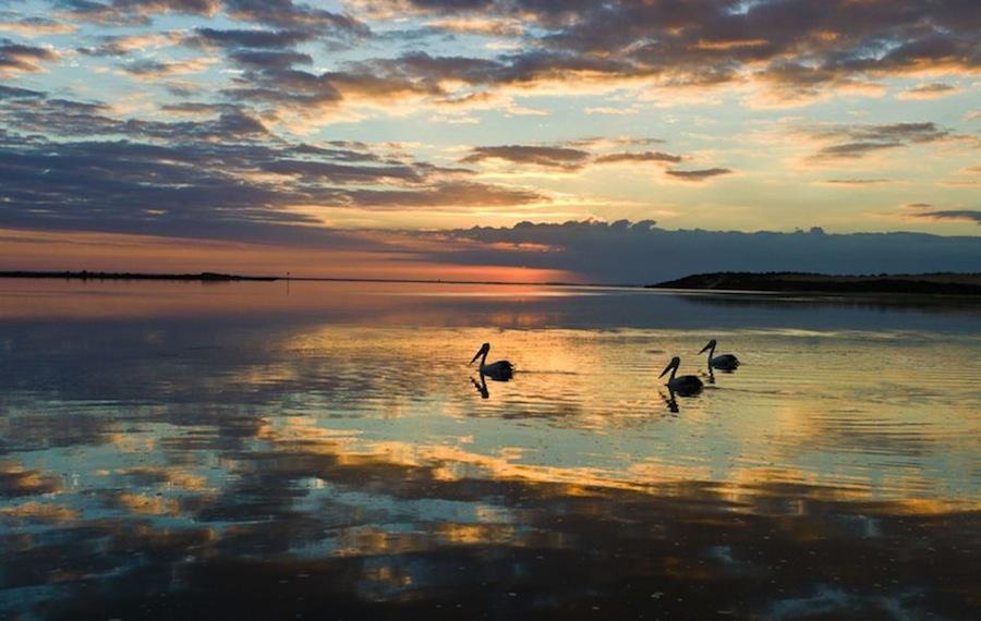 Coorong Coorong image